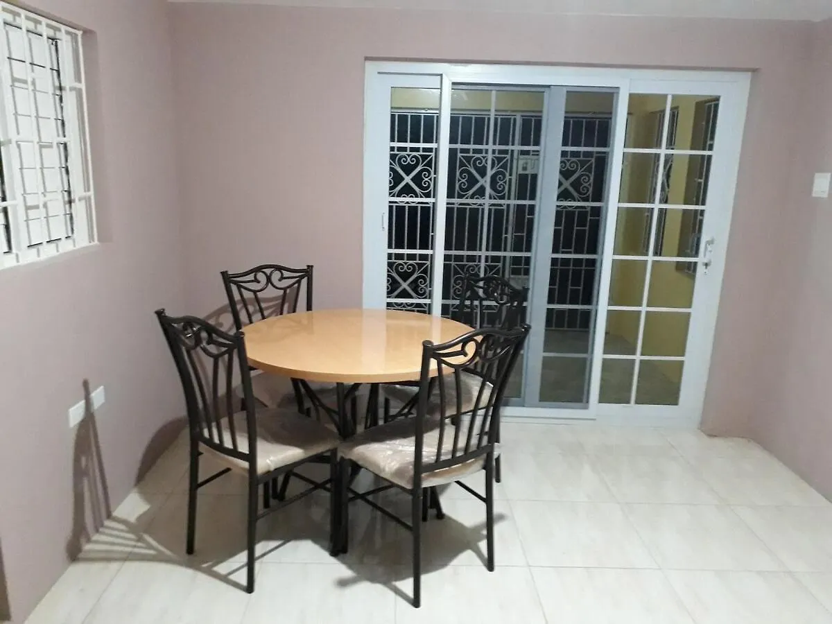 Palm Circle Family Home Apt 2 With Parking And Wifi 蒙特哥贝 公寓