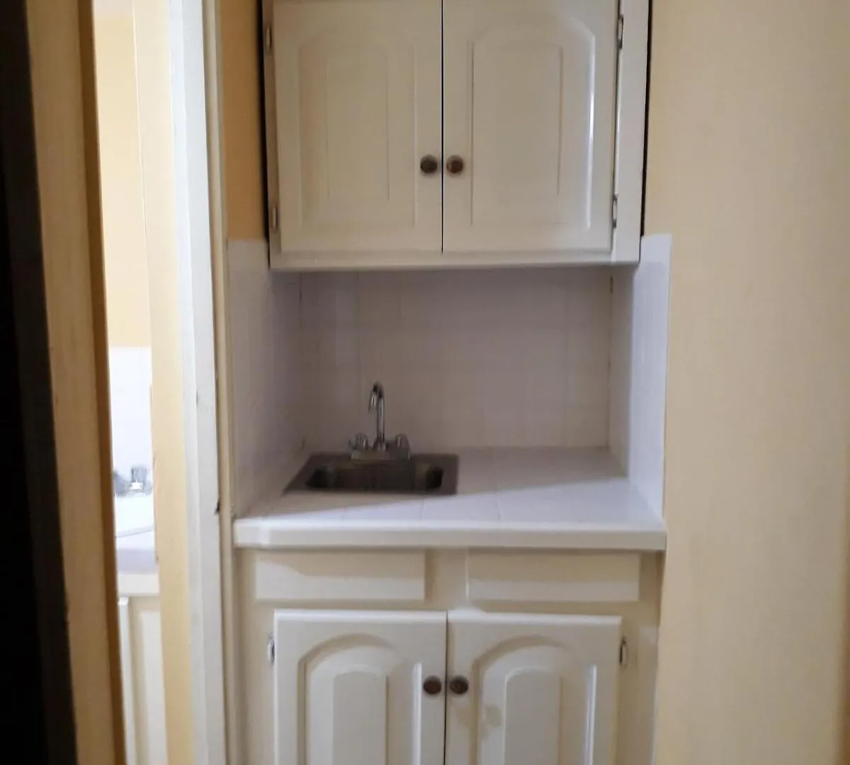 公寓 Palm Circle Family Home Apt 2 With Parking And Wifi 蒙特哥贝 牙买加