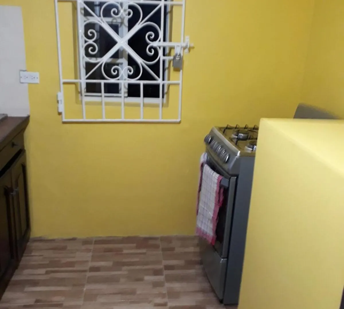 Palm Circle Family Home Apt 2 With Parking And Wifi 蒙特哥贝
